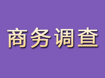 霍城商务调查